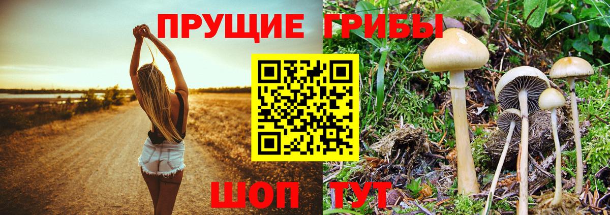 Лабытнанги  Псилоцибиновые грибы Magic Shrooms  Вход с VPN  Галлюциногенные грибы ЛСД 